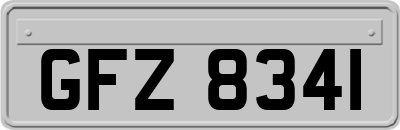 GFZ8341