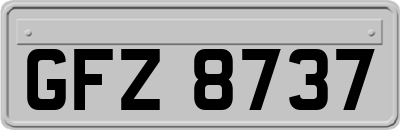 GFZ8737