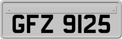 GFZ9125