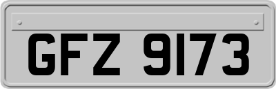 GFZ9173
