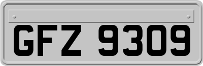 GFZ9309