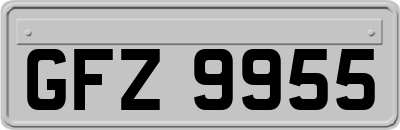 GFZ9955