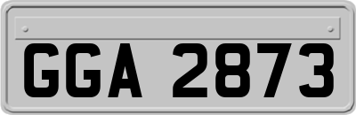 GGA2873