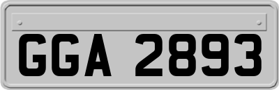 GGA2893