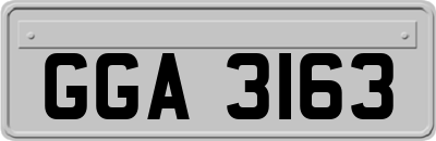 GGA3163