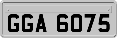 GGA6075