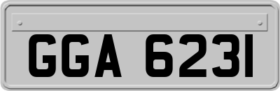 GGA6231