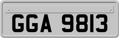 GGA9813