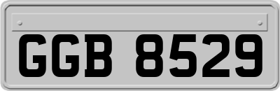 GGB8529