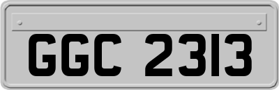 GGC2313