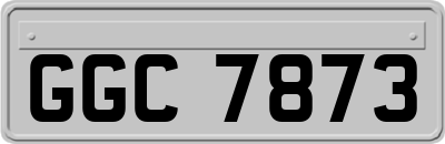 GGC7873