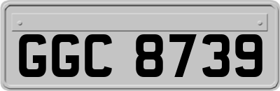 GGC8739