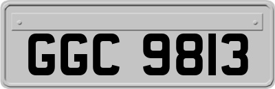 GGC9813