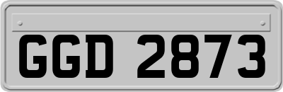 GGD2873