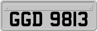 GGD9813