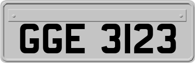 GGE3123