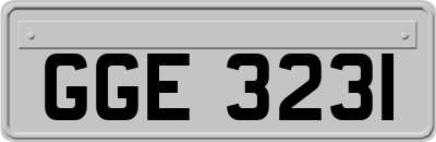 GGE3231