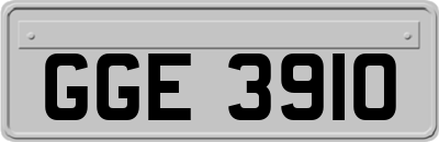 GGE3910