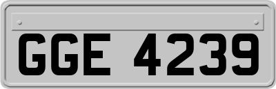 GGE4239