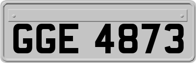 GGE4873