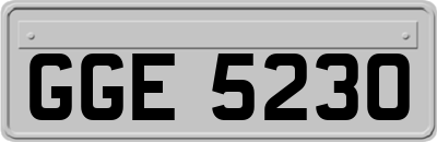 GGE5230