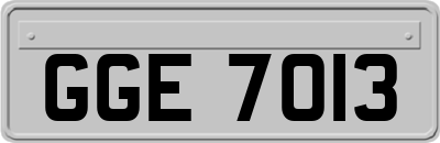 GGE7013
