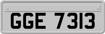 GGE7313