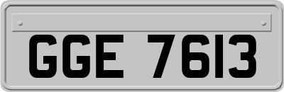 GGE7613
