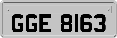 GGE8163