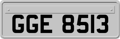 GGE8513