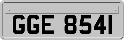 GGE8541
