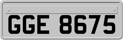 GGE8675