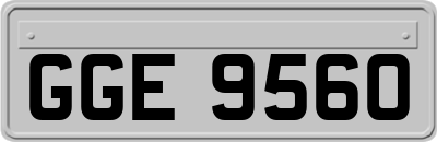 GGE9560