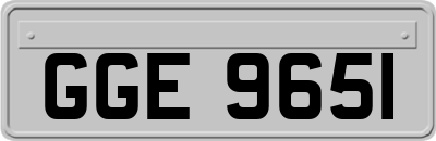 GGE9651