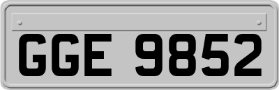 GGE9852