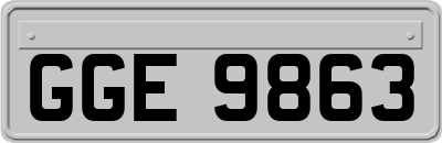GGE9863