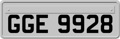 GGE9928