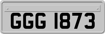 GGG1873