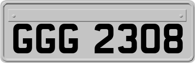 GGG2308