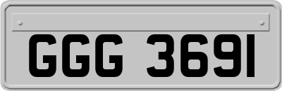 GGG3691