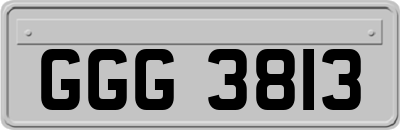 GGG3813