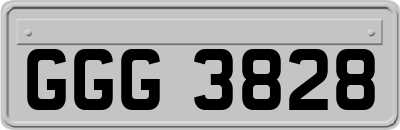 GGG3828
