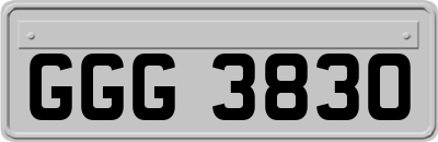 GGG3830