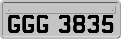 GGG3835