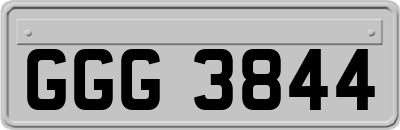 GGG3844