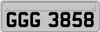 GGG3858