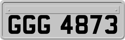 GGG4873