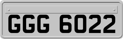 GGG6022