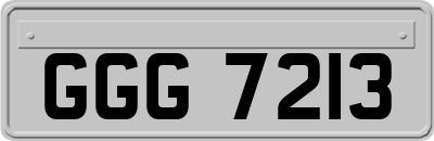 GGG7213