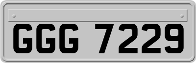 GGG7229
